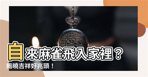 家裡飛進麻雀 車牌 吉祥數字